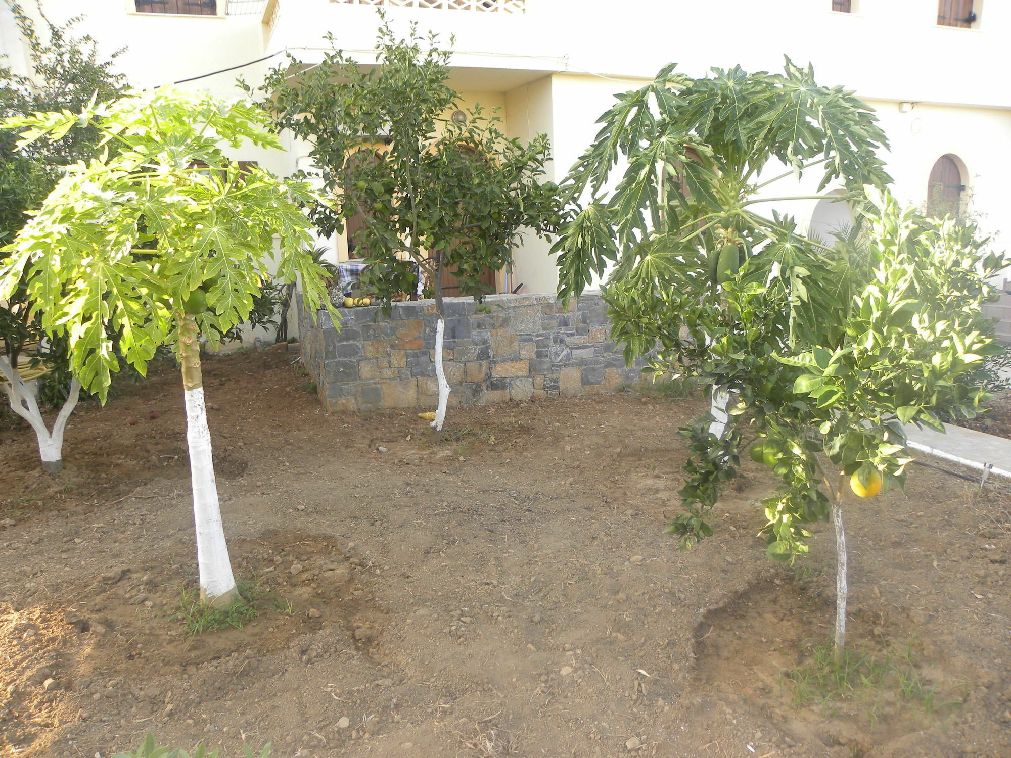 Villa Thalia Milatos Exterior foto